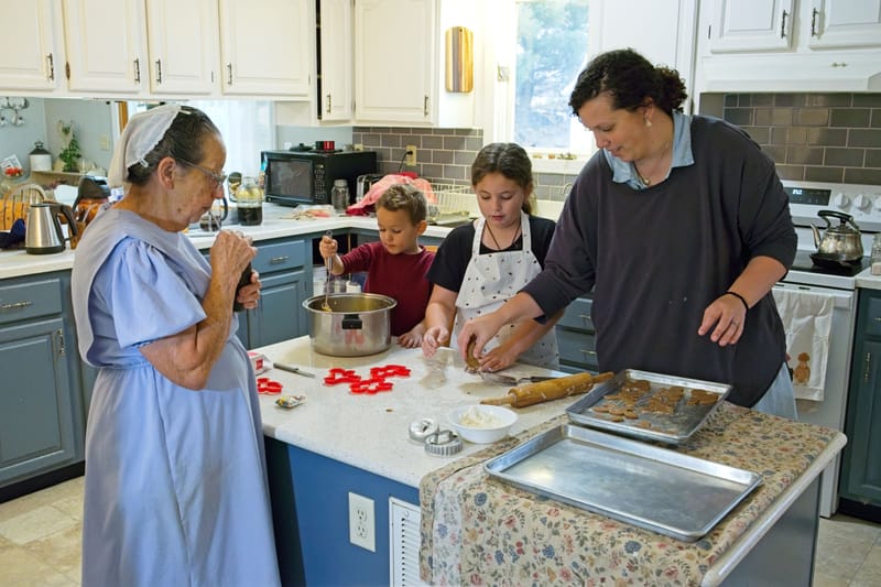 Thanksgiving & Village Cows