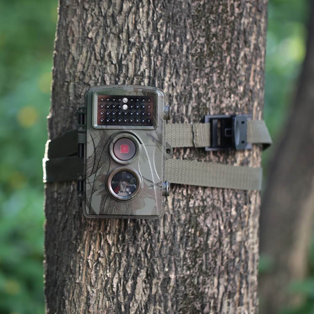 You Can’t Outrun A Game Camera